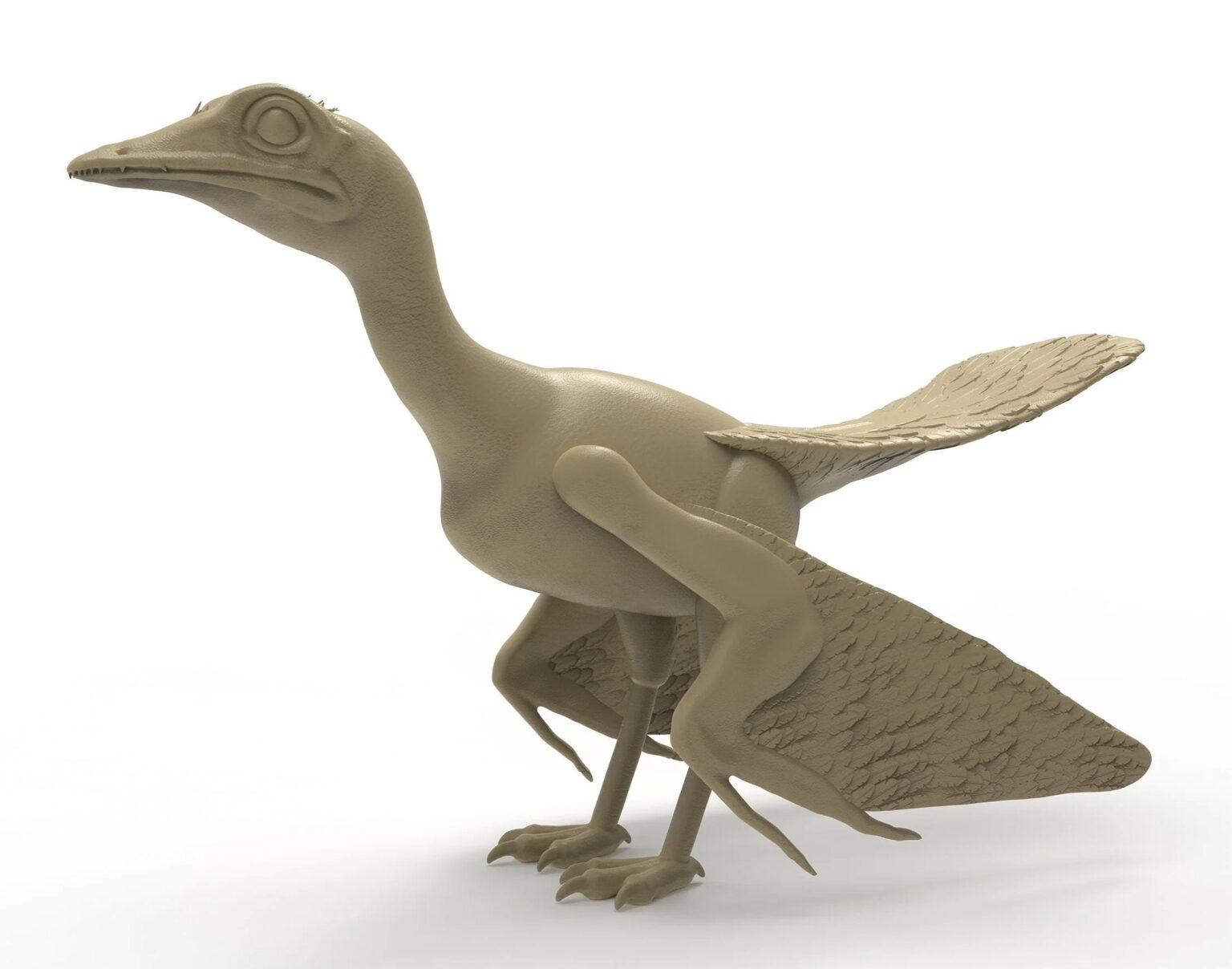 archeopteryx